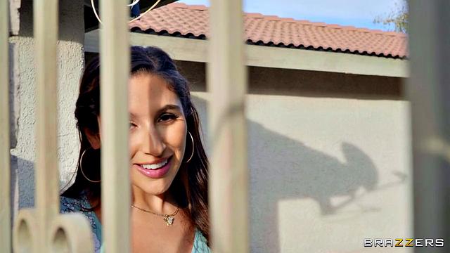 Where the Sun Shines