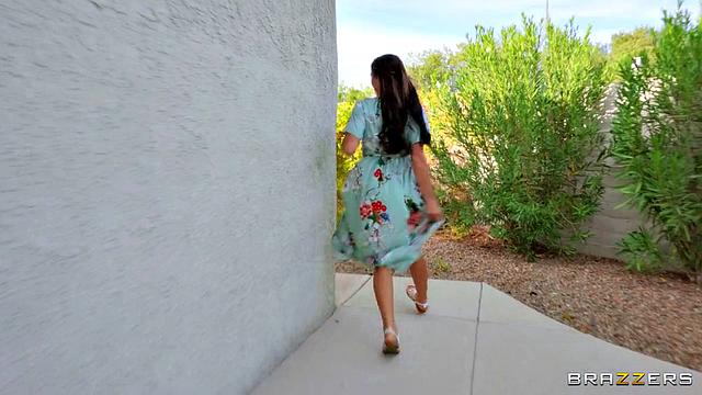 Where the Sun Shines