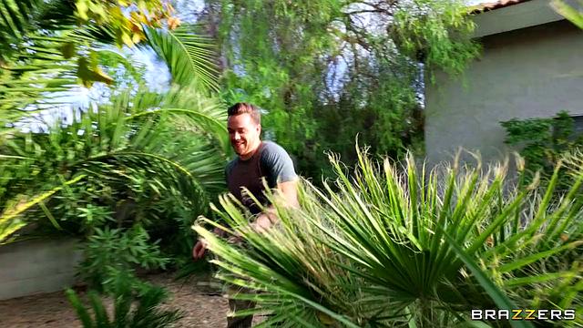 Where the Sun Shines