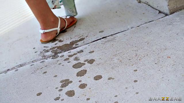 Where the Sun Shines