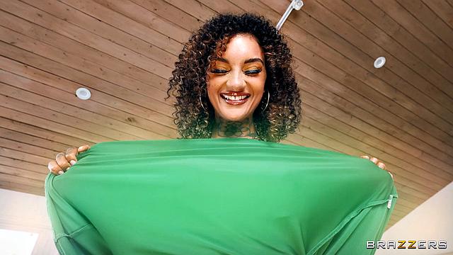 Quit Beating The Bush