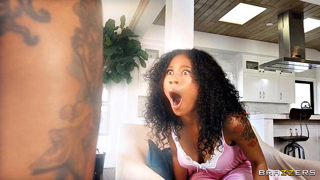 Quit Beating The Bush