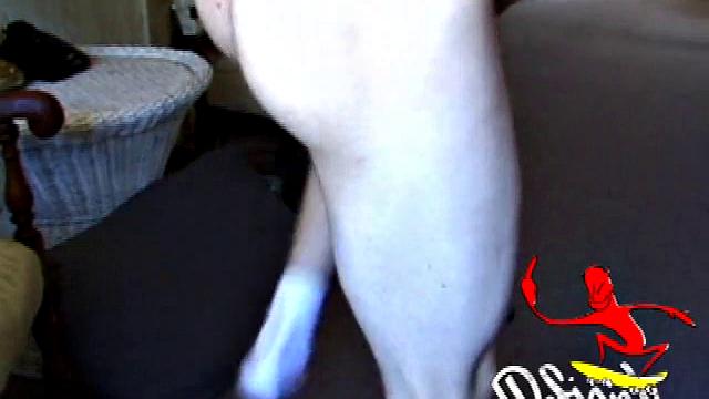 While on a break from doing yard work, Shane strips naked and starts getting stiff. He works the remote, and his cock, until finally pumping a messy cum load onto a towel.