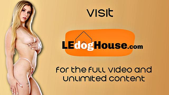 Petite nasty babe drilled doggy style by lover