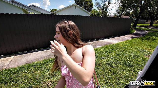 Juniper and Tony Sitting In A Tree