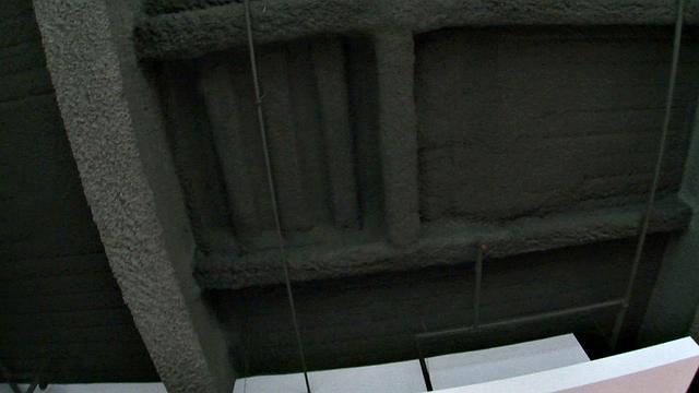 "Slutty Indica and Aria"