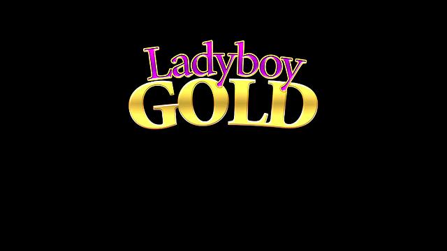 Karisa: UK Lingerie Finisher with Braces