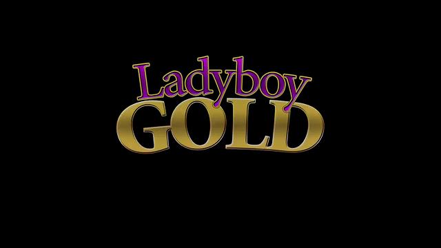 Karisa: UK Lingerie Finisher with Braces