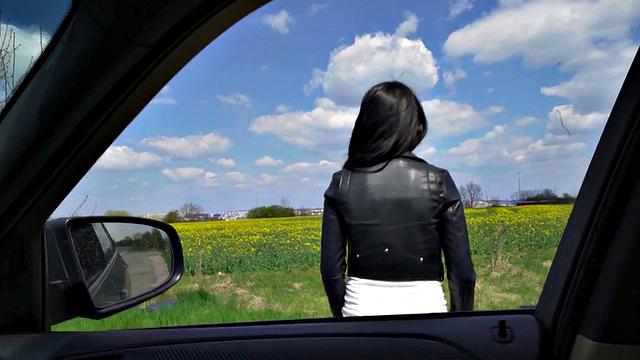 Picked up inked babe gets tight pussy pounded in car